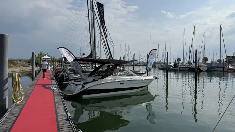 Sea Ray Surf 260